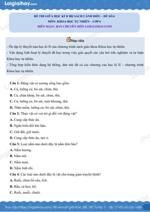 Đề thi giữa học kì 2 KHTN 6 Cánh diều - Đề số 6
